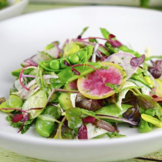 Fava Snap Pea Vegetable Salad 1