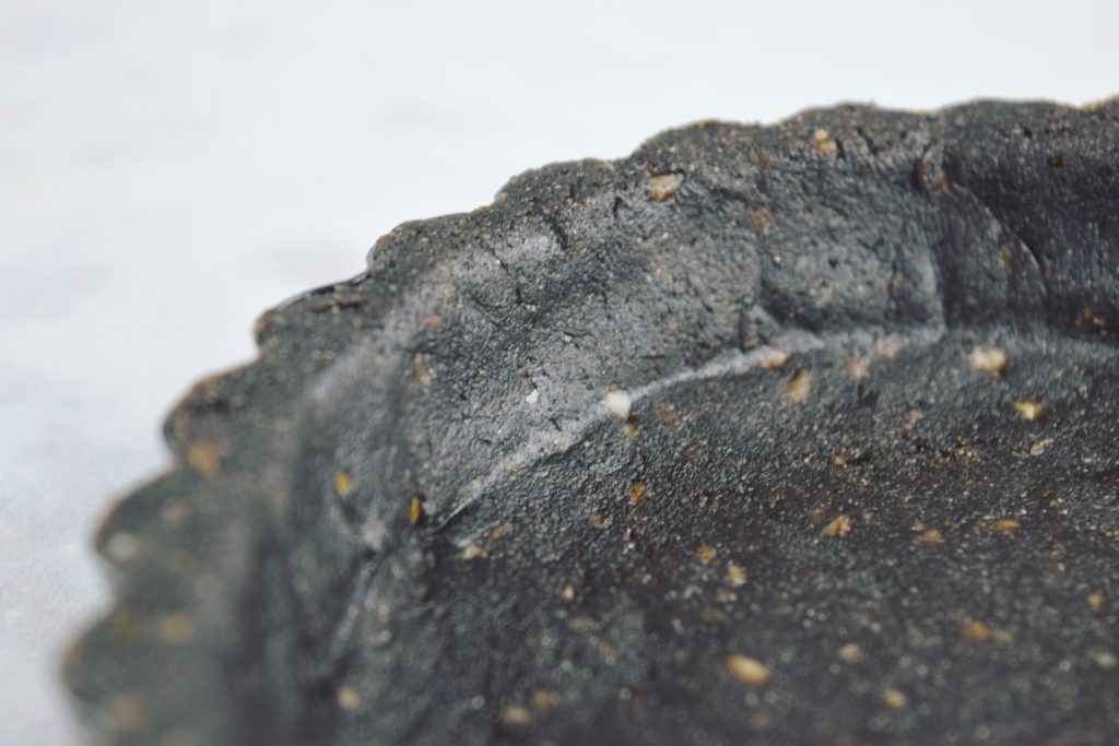 Unbaked Black Sesame Crust Closeup